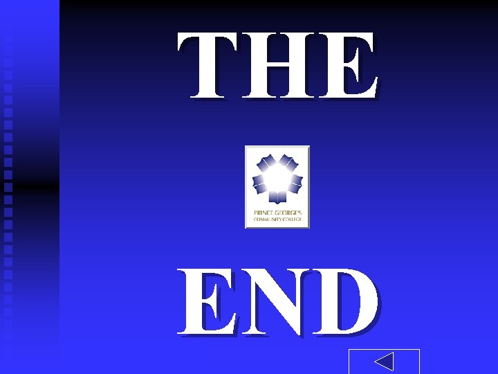 THE END 