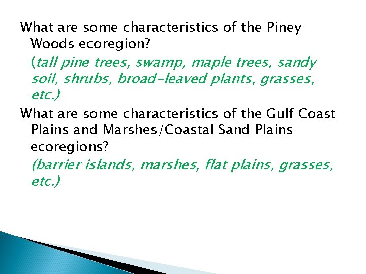 What are some characteristics of the Piney Woods ecoregion? (tall pine trees, swamp, maple
