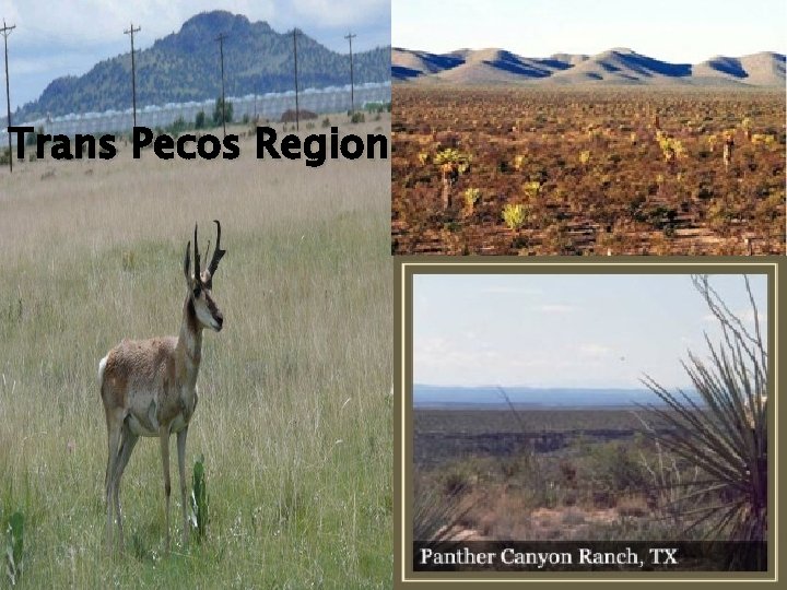 Trans Pecos Region 