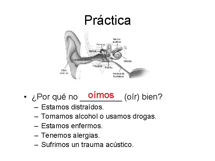 Práctica oímos (oír) bien? • ¿Por qué no _____ – – – Estamos distraídos.