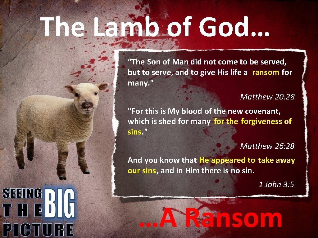 The Lamb of God… “The Son of Man did not come to be served,