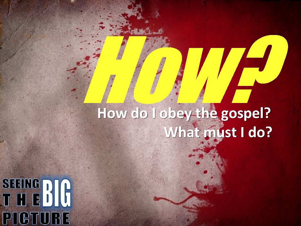 How? How do I obey the gospel? What must I do? 