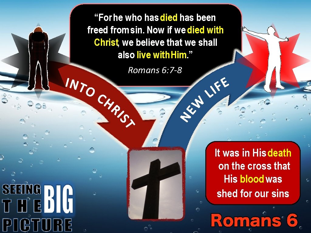 “For he who has died has been freed from sin. Now if we died
