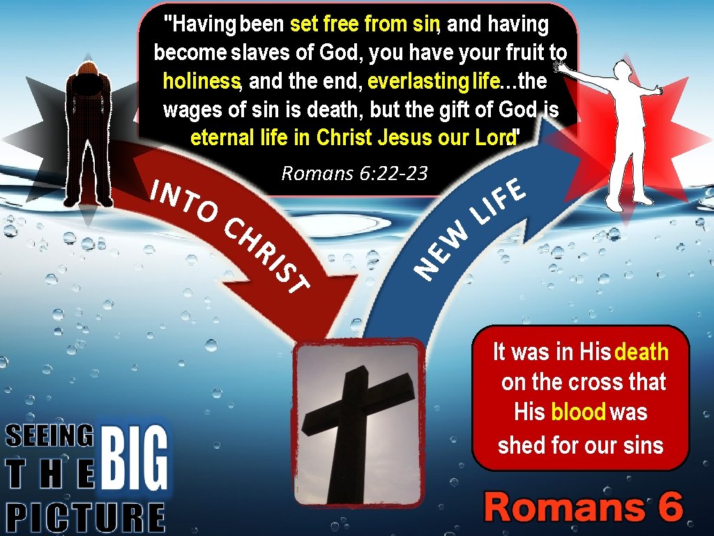 "Having been set free from sin, and having become slaves of God, you have