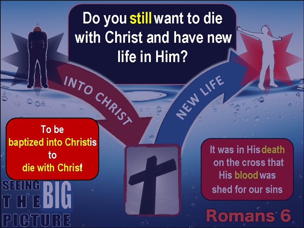 Do you still want to die with Christ and have new life in Him?