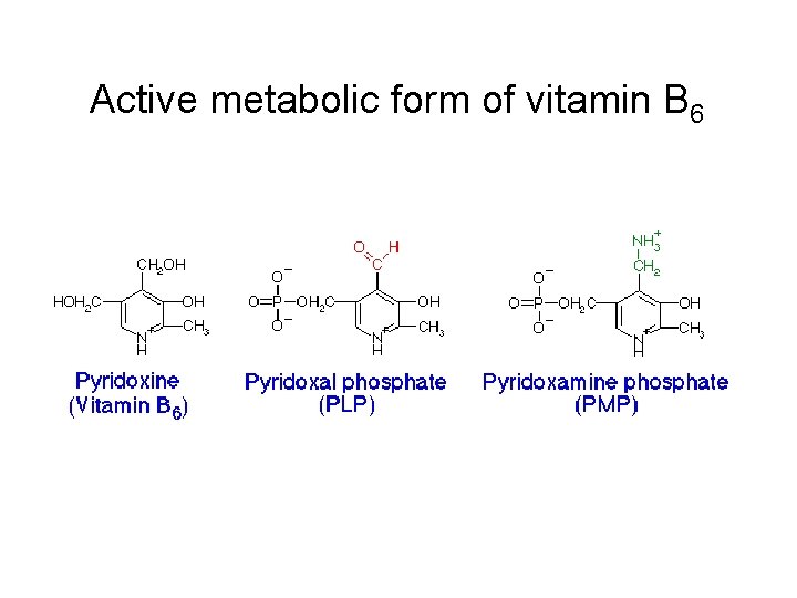 Active metabolic form of vitamin B 6 