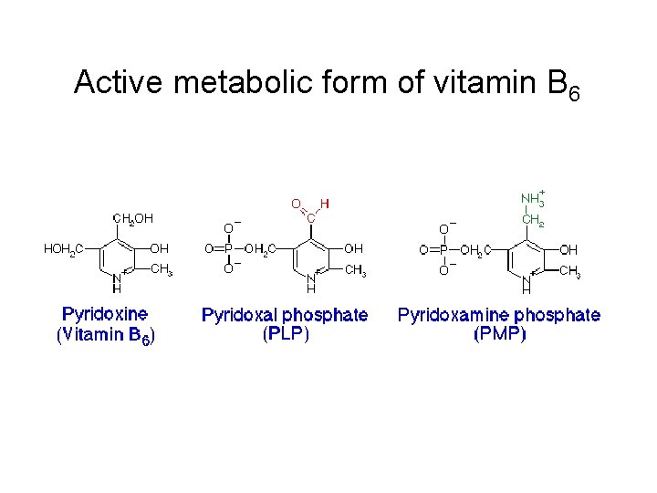 Active metabolic form of vitamin B 6 Active metabolic form of vitamin B 6
