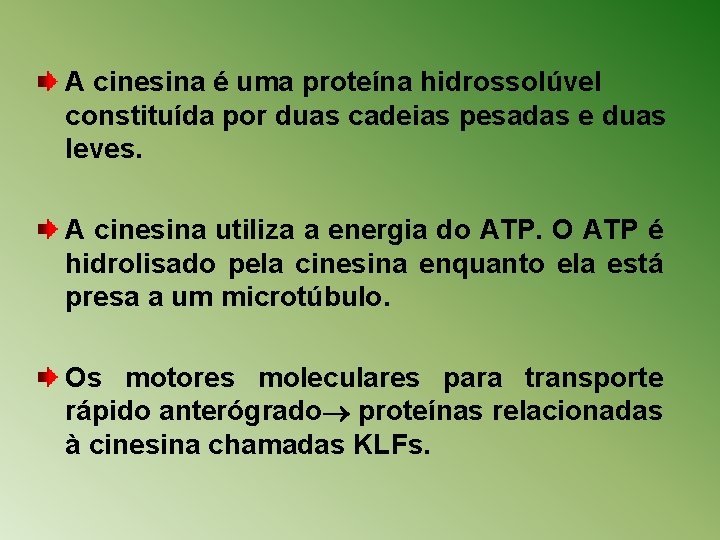 A cinesina é uma proteína hidrossolúvel constituída por duas cadeias pesadas e duas leves.