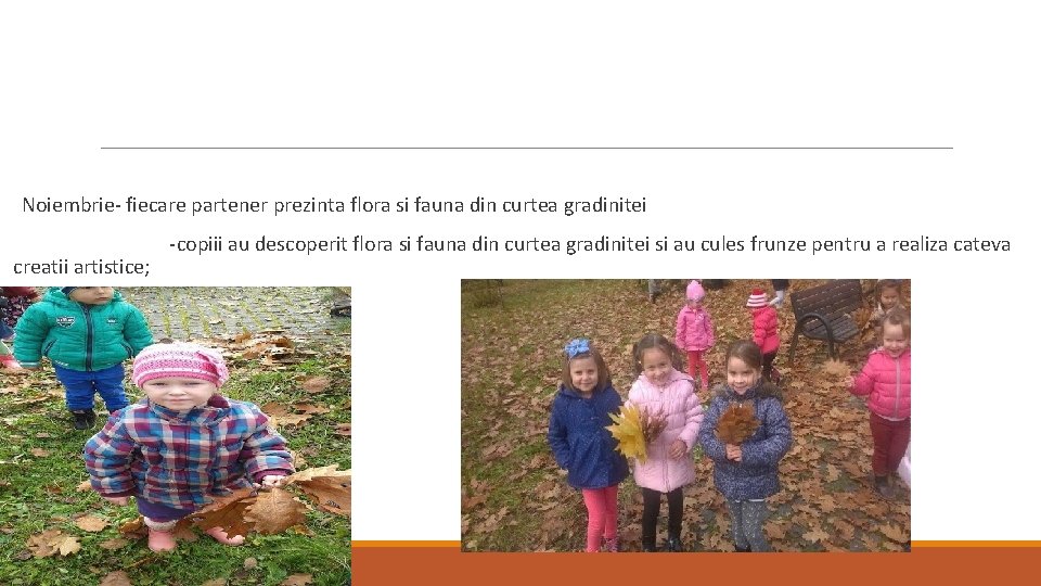 Noiembrie- fiecare partener prezinta flora si fauna din curtea gradinitei creatii artistice; -copiii au