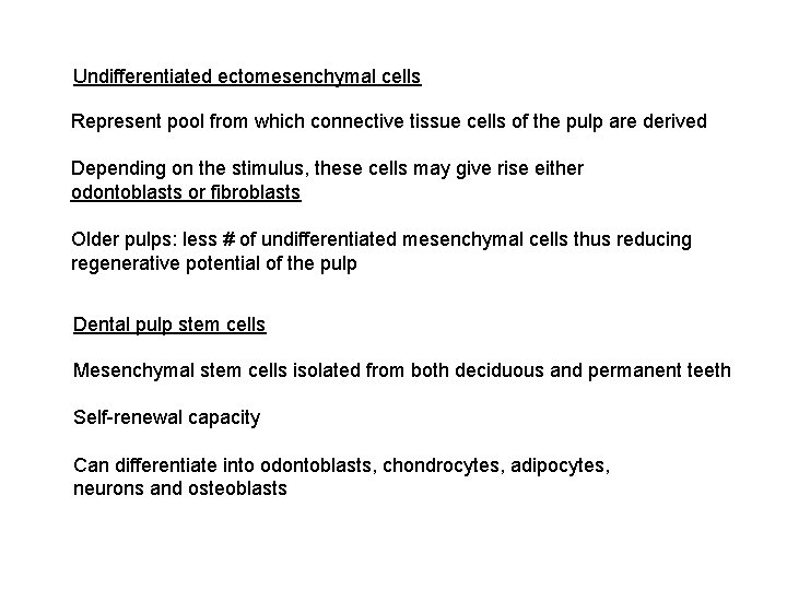 Undifferentiated ectomesenchymal cells Represent pool from which connective tissue cells of the pulp are