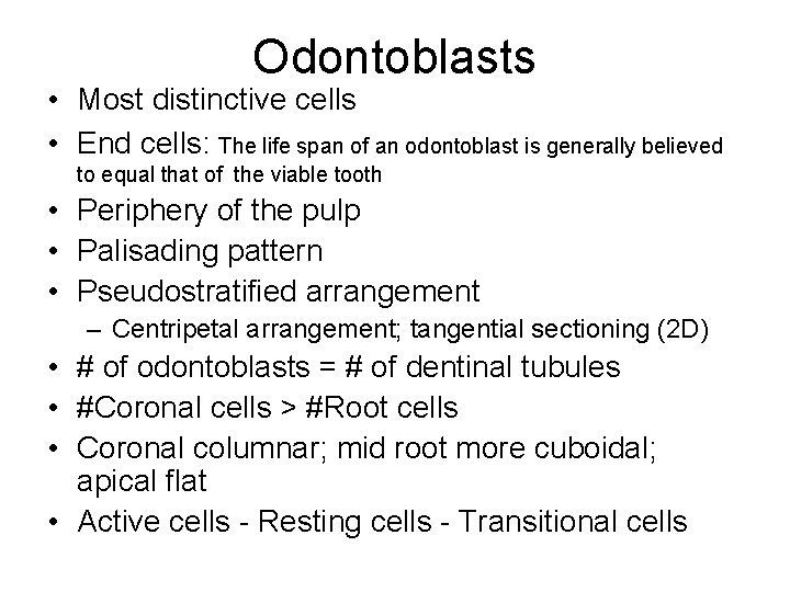 Odontoblasts • Most distinctive cells • End cells: The life span of an odontoblast