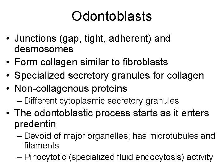 Odontoblasts • Junctions (gap, tight, adherent) and desmosomes • Form collagen similar to fibroblasts