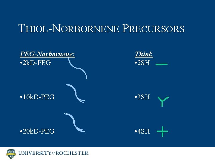 THIOL-NORBORNENE PRECURSORS PEG-Norbornene: • 2 k. D-PEG Thiol: • 2 SH • 10 k.