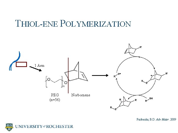 THIOL-ENE POLYMERIZATION 1 Arm PEG (n=56) Norbornene Fairbanks, B. D. Adv Mater. 2009 