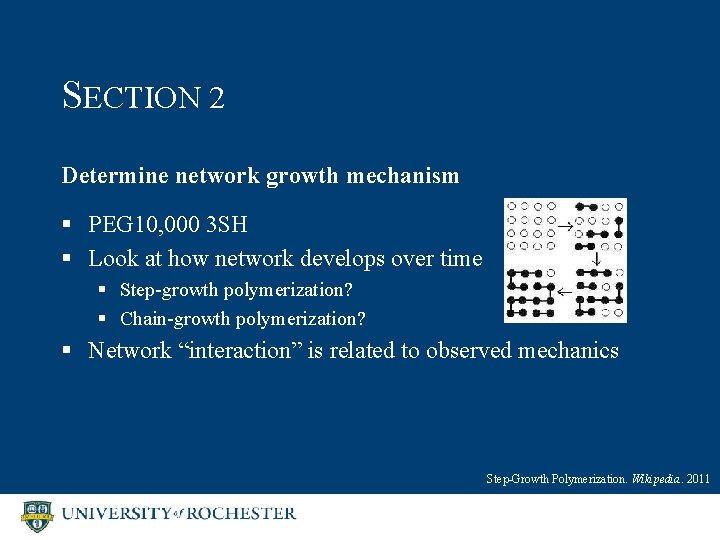 SECTION 2 Determine network growth mechanism § PEG 10, 000 3 SH § Look