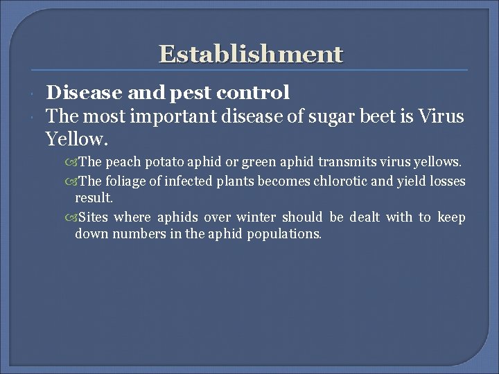 Establishment Disease and pest control The most important disease of sugar beet is Virus