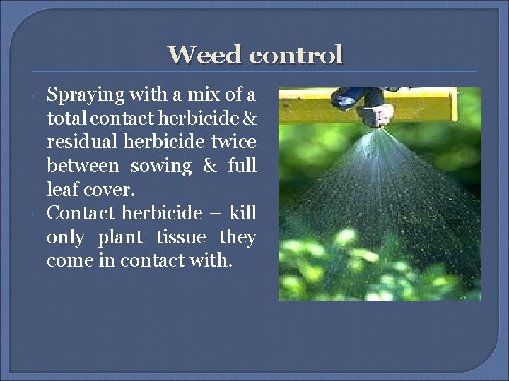 Weed control Spraying with a mix of a total contact herbicide & residual herbicide Weed control Spraying with a mix of a total contact herbicide & residual herbicide