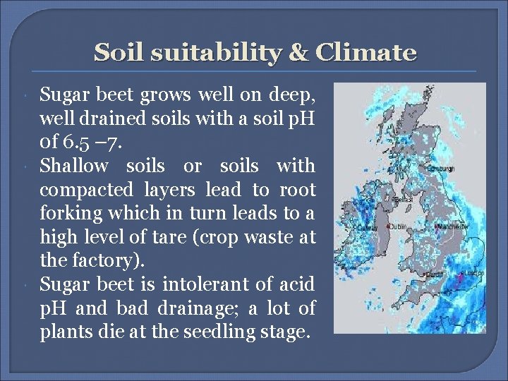 Soil suitability & Climate Sugar beet grows well on deep, well drained soils with