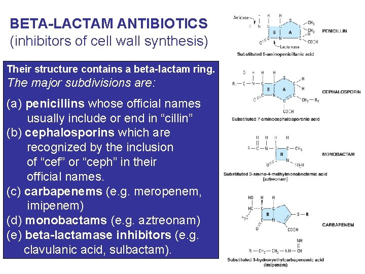 BETA-LACTAM ANTIBIOTICS (inhibitors of cell wall synthesis) Their structure contains a beta-lactam ring. The