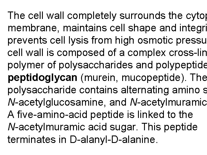 The cell wall completely surrounds the cytop membrane, maintains cell shape and integri prevents