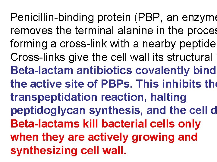 Penicillin-binding protein (PBP, an enzyme removes the terminal alanine in the proces forming a