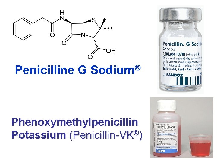 Penicilline G Sodium® Phenoxymethylpenicillin Potassium (Penicillin-VK®) 