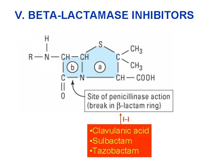 V. BETA-LACTAMASE INHIBITORS ( ) • Clavulanic acid • Sulbactam • Tazobactam 