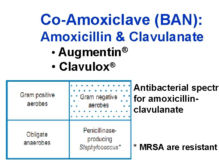 Co-Amoxiclave (BAN): Amoxicillin & Clavulanate • Augmentin® • Clavulox® Antibacterial spectru for amoxicillinclavulanate *
