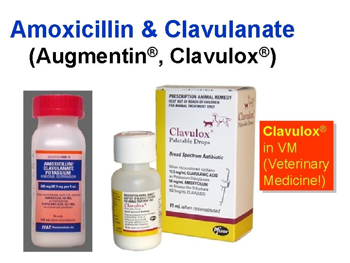 Amoxicillin & Clavulanate (Augmentin®, Clavulox®) Clavulox® in VM (Veterinary Medicine!) 