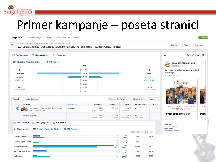 Primer kampanje – poseta stranici 