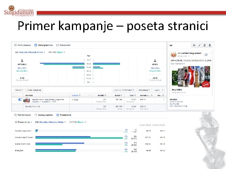 Primer kampanje – poseta stranici 