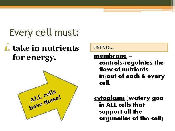 Every cell must: 1. take in nutrients for energy. s l l e c