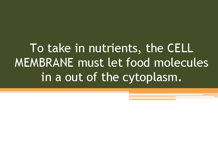 To take in nutrients, the CELL MEMBRANE must let food molecules in a out
