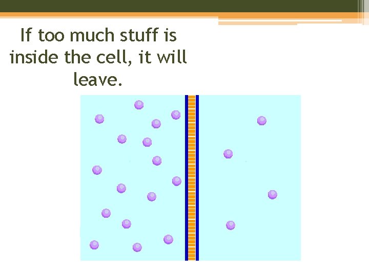 If too much stuff is inside the cell, it will leave. 