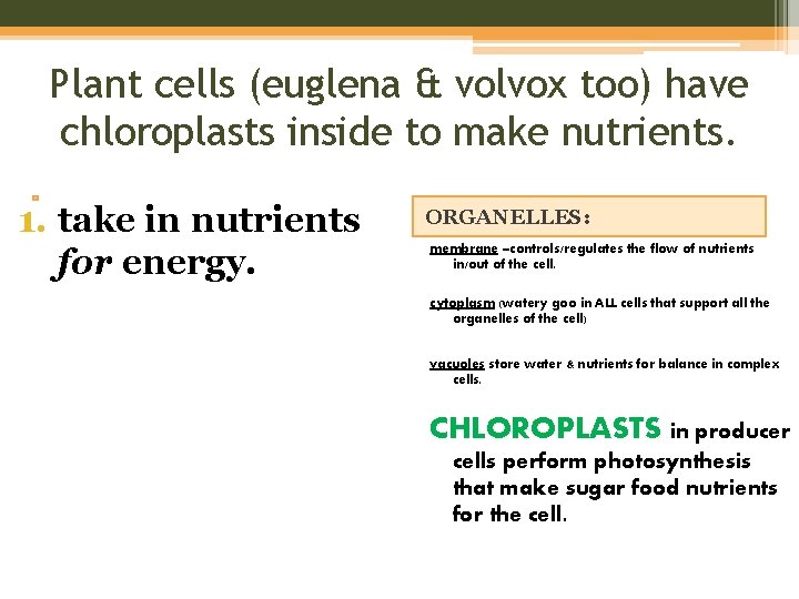 Plant cells (euglena & volvox too) have chloroplasts inside to make nutrients. 1. take