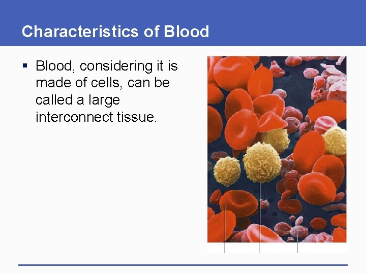 Characteristics of Blood § Blood, considering it is made of cells, can be called