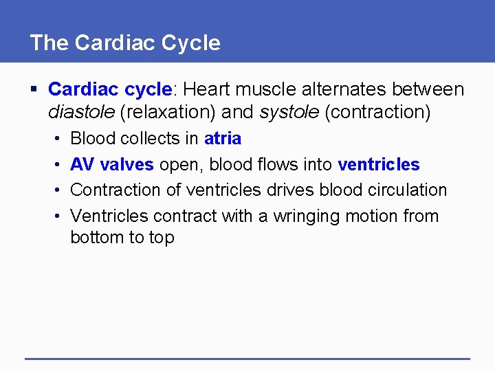 The Cardiac Cycle § Cardiac cycle: Heart muscle alternates between diastole (relaxation) and systole