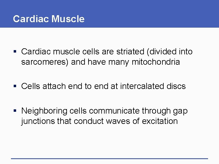 Cardiac Muscle § Cardiac muscle cells are striated (divided into sarcomeres) and have many