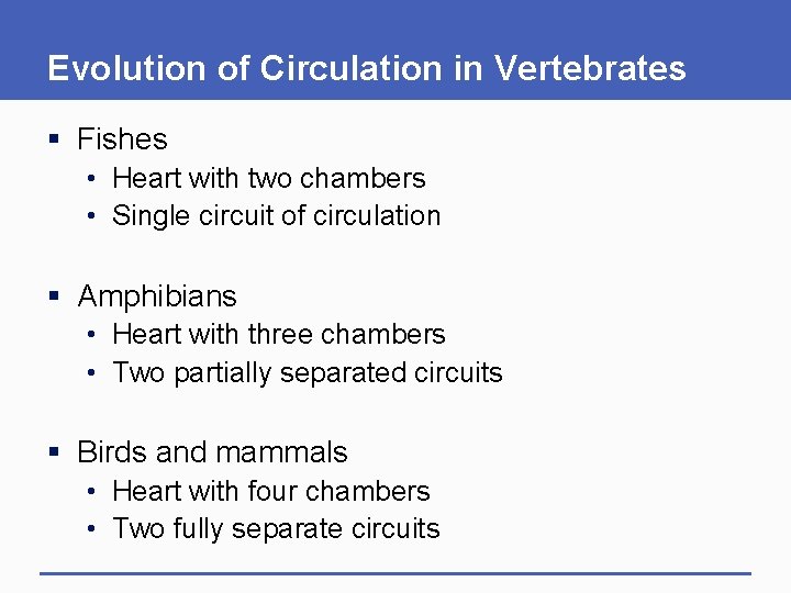 Evolution of Circulation in Vertebrates § Fishes • Heart with two chambers • Single