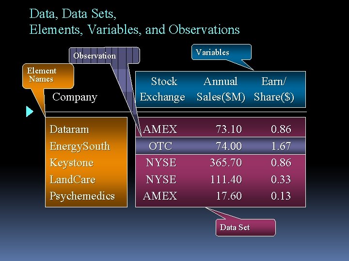Data, Data Sets, Elements, Variables, and Observations Variables Observation Element Names Company Dataram Energy. Data, Data Sets, Elements, Variables, and Observations Variables Observation Element Names Company Dataram Energy.