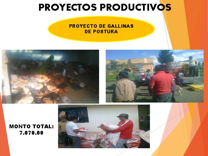 PROYECTOS PRODUCTIVOS PROYECTO DE GALLINAS DE POSTURA MONTO TOTAL: 7. 070. 00 