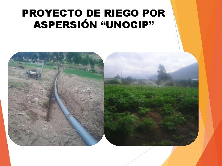 PROYECTO DE RIEGO POR ASPERSIÓN “UNOCIP” 