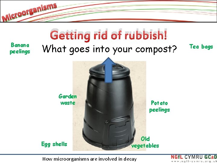 Banana peelings Getting rid of rubbish! What goes into your compost? Garden waste Egg