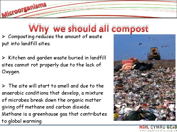 Why we should all compost Ø Composting reduces the amount of waste put into