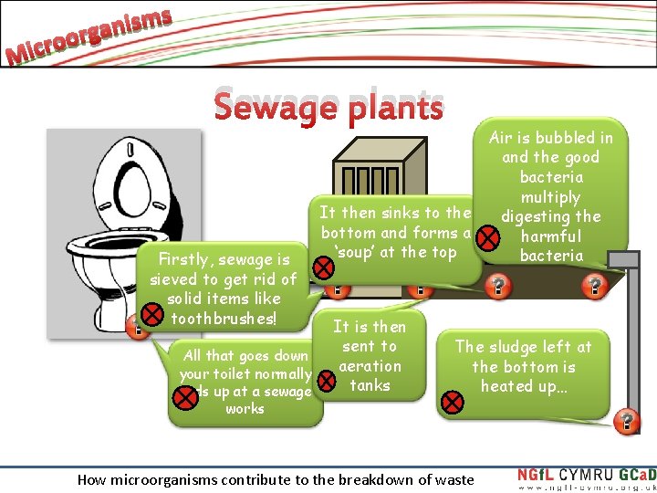 Sewage plants Firstly, sewage is sieved to get rid of solid items like toothbrushes!