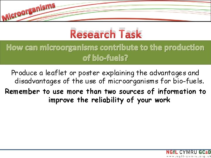 Research Task How can microorganisms contribute to the production of bio-fuels? Produce a leaflet