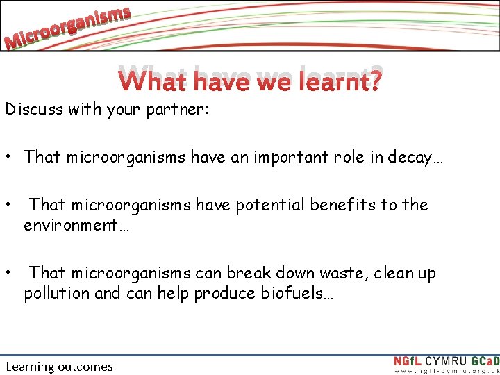 What have we learnt? Discuss with your partner: • That microorganisms have an important