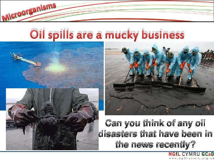 Oil spills are a mucky business Can you think of any oil disasters that