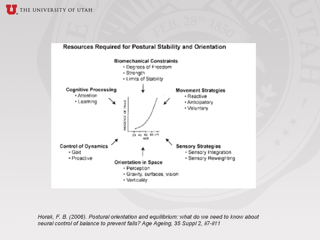 Horak, F. B. (2006). Postural orientation and equilibrium: what do we need to know