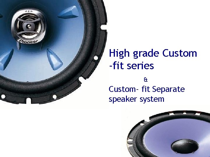 High grade Custom -fit series & Custom- fit Separate speaker system 